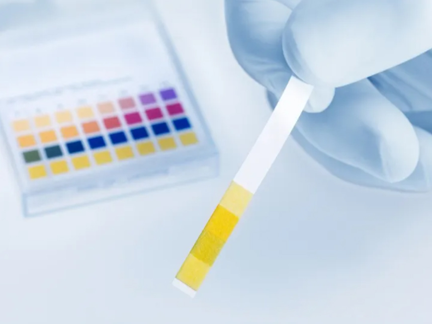 Testing Method for Sealant Alkalinity